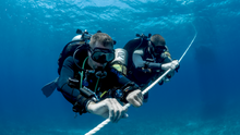 Load image into Gallery viewer, SDI Deep Diver Course