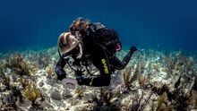 Load image into Gallery viewer, SDI Deep Diver Course