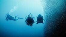 Load image into Gallery viewer, Deep Diver Certification