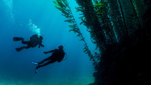 Load image into Gallery viewer, Deep Diver Certification