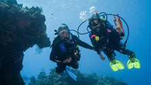 Load image into Gallery viewer, Drift Diver