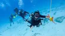 Load image into Gallery viewer, Drift Diver