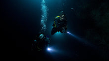 Load image into Gallery viewer, Night Diver