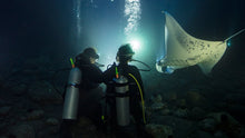 Load image into Gallery viewer, Night Diver