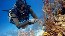 Load image into Gallery viewer, Peak Buoyancy Certification