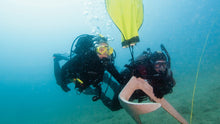 Load image into Gallery viewer, Search and Recovery Diver