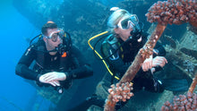 Load image into Gallery viewer, Wreck Diver