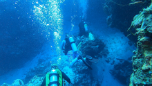 Load image into Gallery viewer, Cozumel -Dive Trip- DEPOSIT
