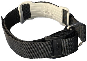 2" Nylon Cam Band w/Plastic Buckle-36" length and OMS Friction Pad