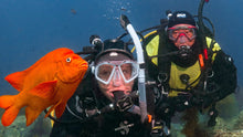 Load image into Gallery viewer, Advanced Scuba Diver Certification
