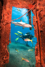 Load image into Gallery viewer, PADI Wreck Diver Class
