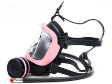 Load image into Gallery viewer, Guardian Full Face Mask