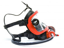 Load image into Gallery viewer, Guardian Full Face Mask