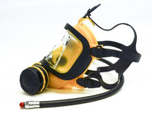 Load image into Gallery viewer, Guardian Full Face Mask