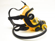 Load image into Gallery viewer, Guardian Full Face Mask