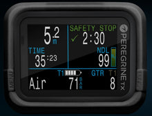Load image into Gallery viewer, Peregrine Protective Case
