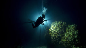Advanced Scuba Diver Certification with Boat or Drift Specialty