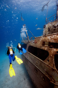 PADI Wreck Diver Manual